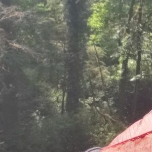 Meet your Posher, Rafael